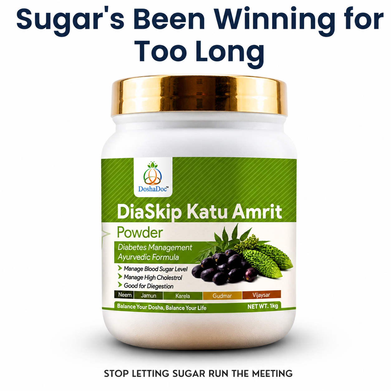 DiaSkip Katu Amrit Powder
