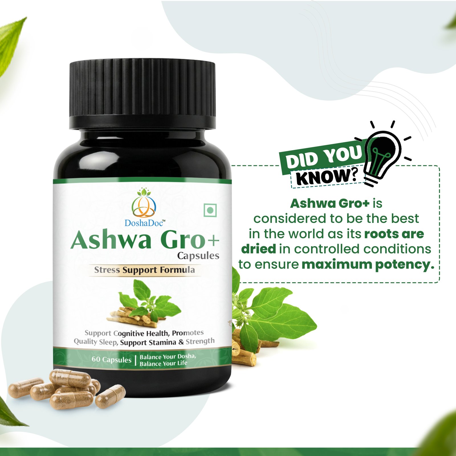 Ashwa Gro+ Capsules - Image 4